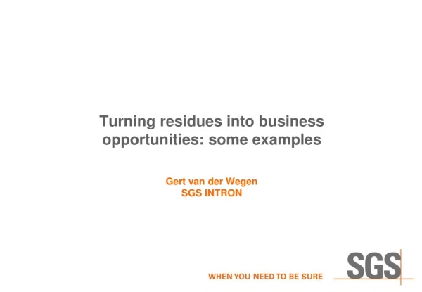 Turning residues into business opportunities: some examples Gert van der Wegen SGS INTRON