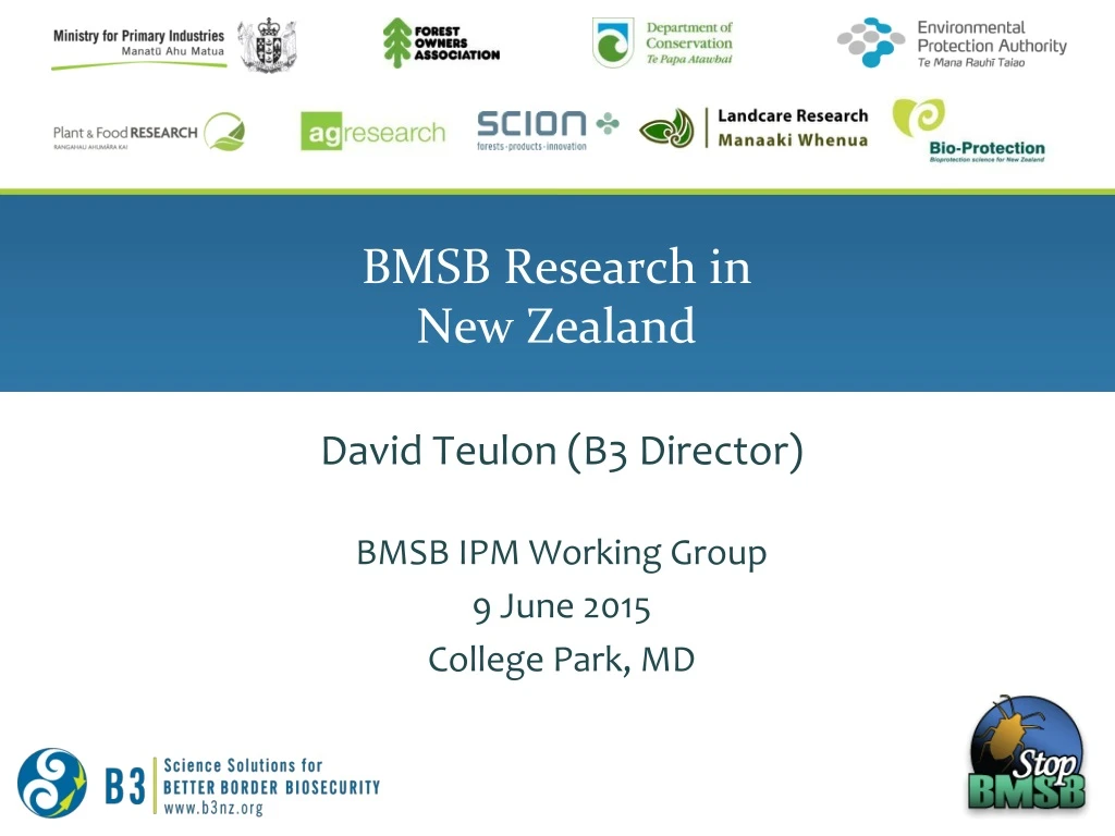 bmsb research in new zealand