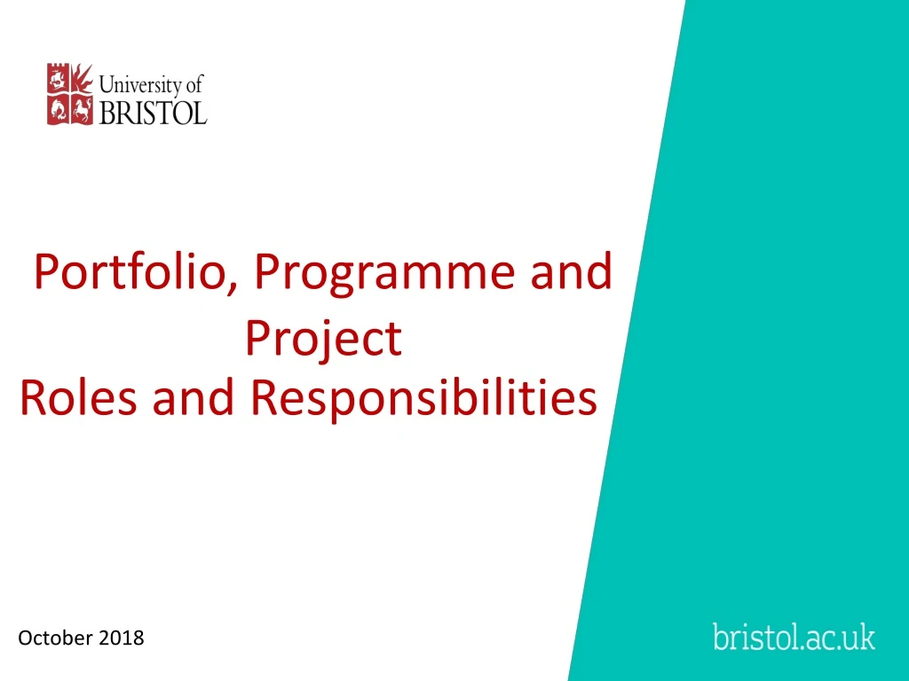 portfolio programme and project