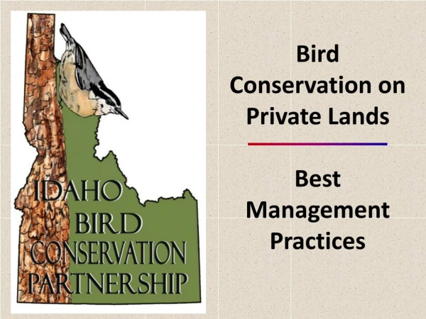 Bird Conservation on Private Lands Best Management Practices
