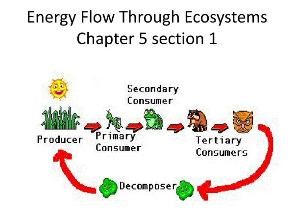 Energy Flow Through Ecosystems Chapter 5 section 1