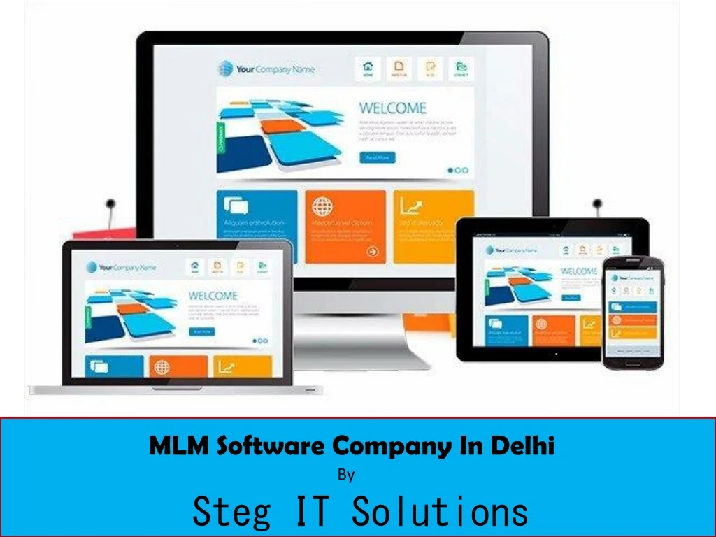 mlm software company in delhi