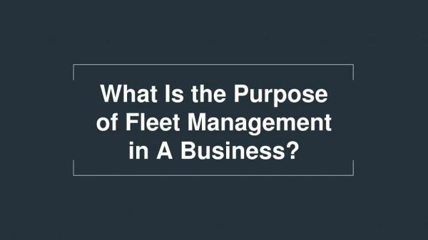 Fleet Management Tracking Software in Dubai