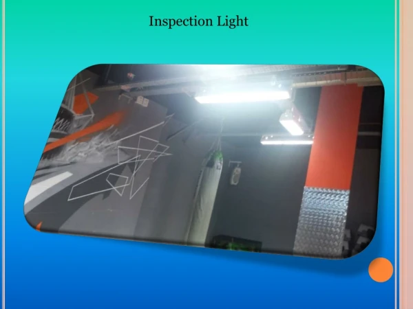 Inspection Light