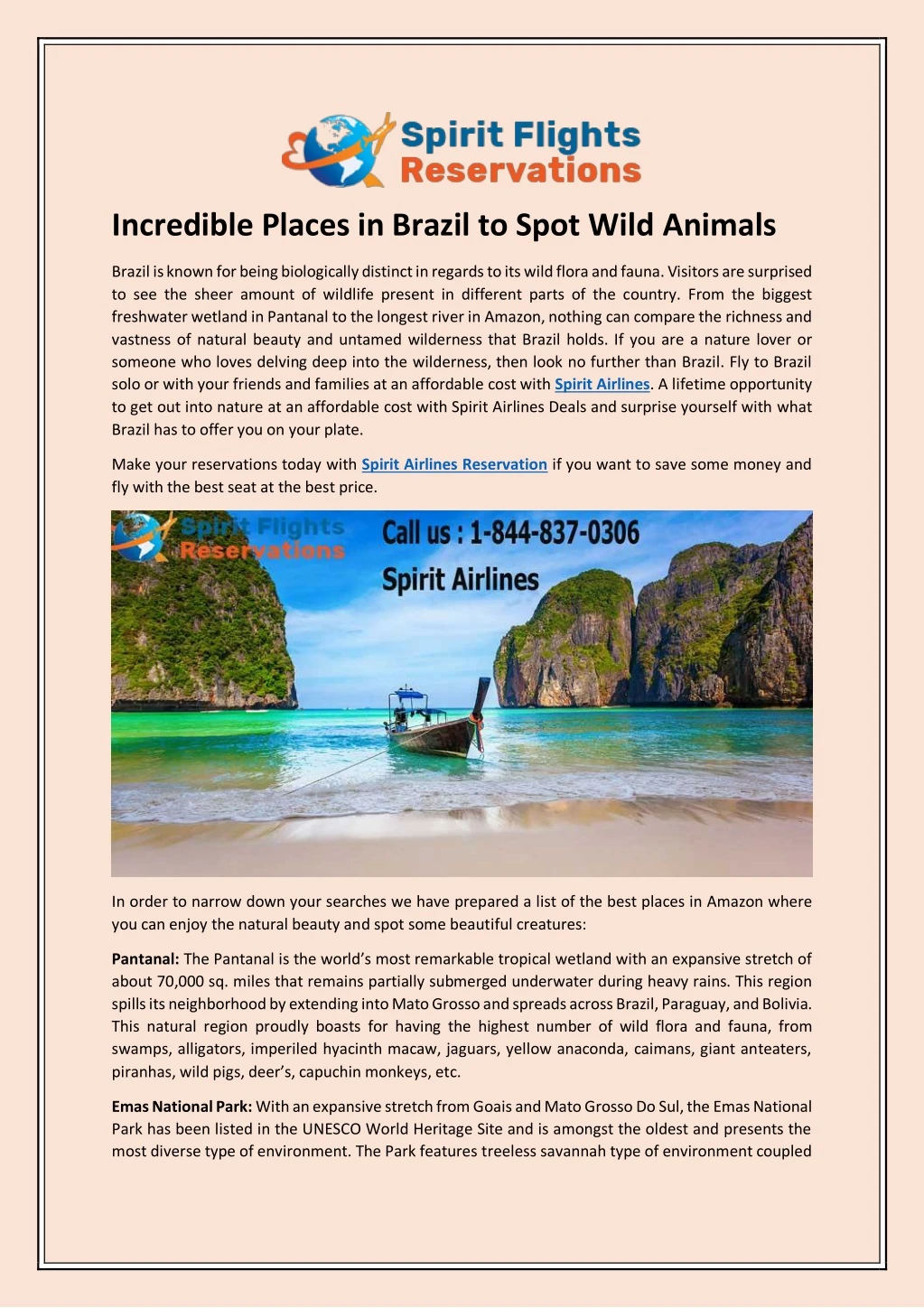 incredible places in brazil to spot wild animals