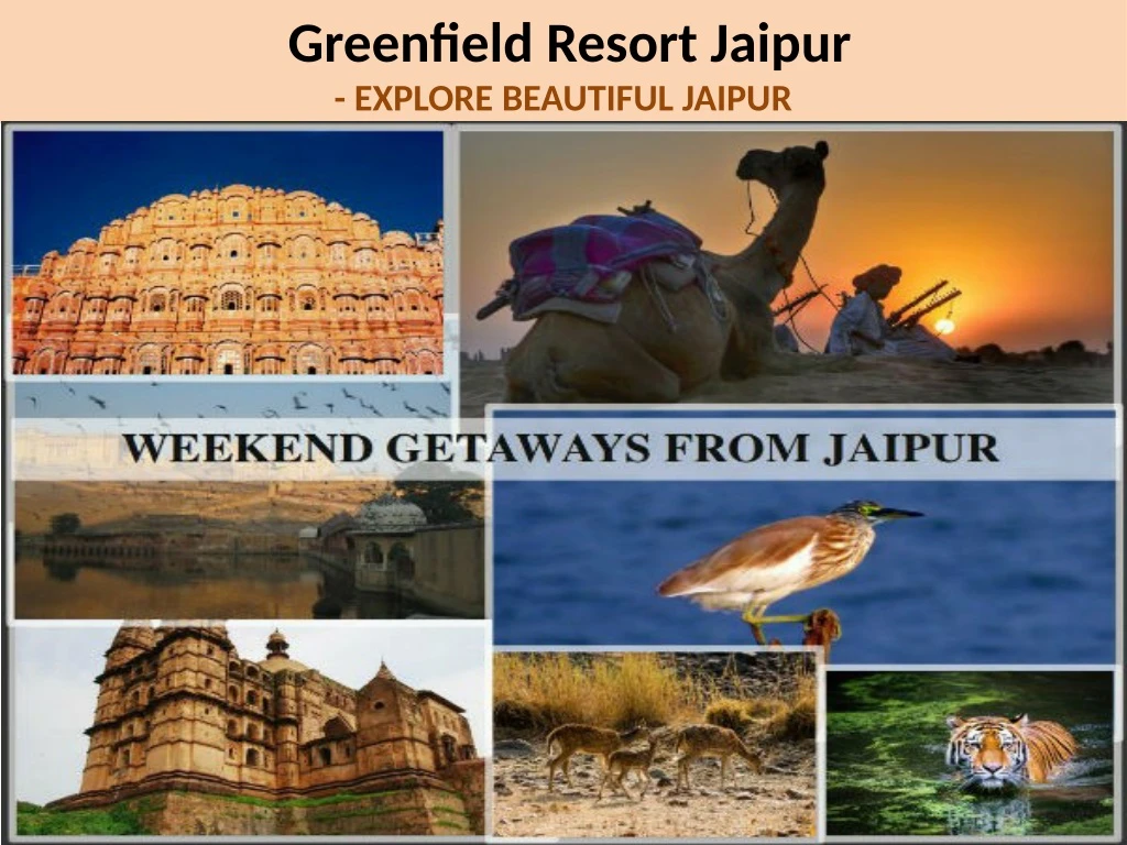 greenfield resort jaipur explore beautiful jaipur