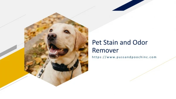 pet stain and odor remover