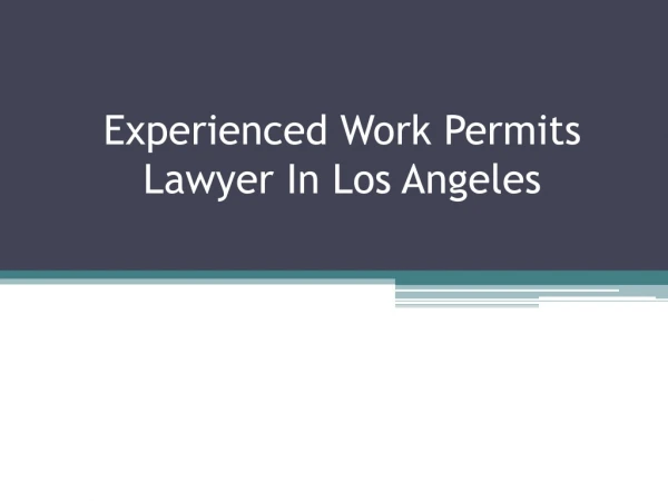 Experienced Work Permits Lawyer In Los Angeles