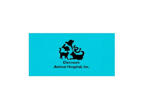 Clermont Animal Hospital Inc.