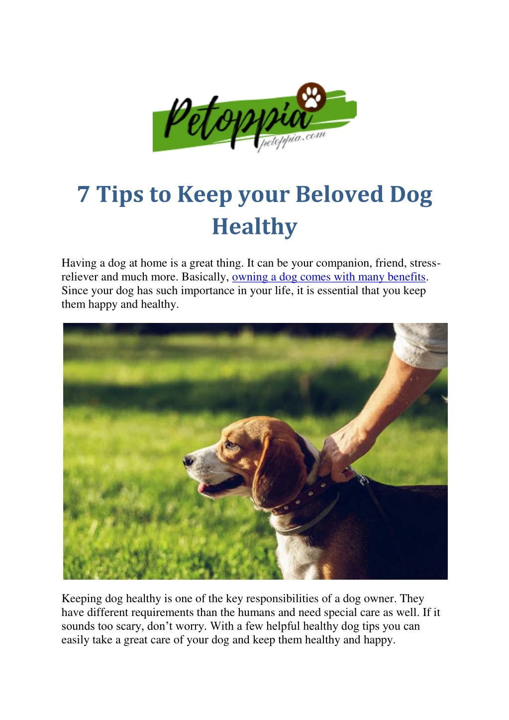 7 tips to keep your beloved dog healthy