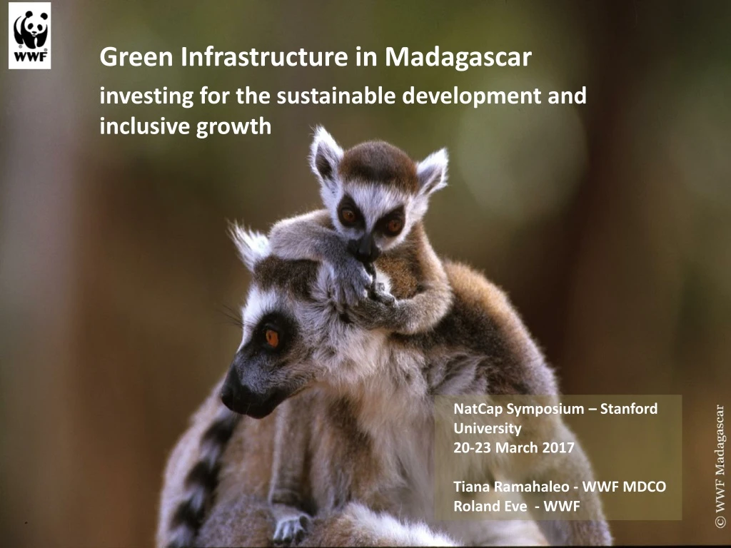 green infrastructure in madagascar investing