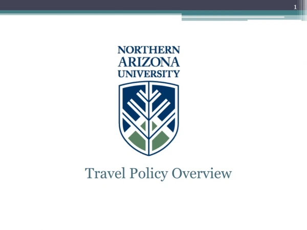 Travel Policy Overview