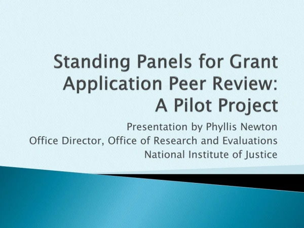 Standing Panels for Grant Application Peer Review: A Pilot Project