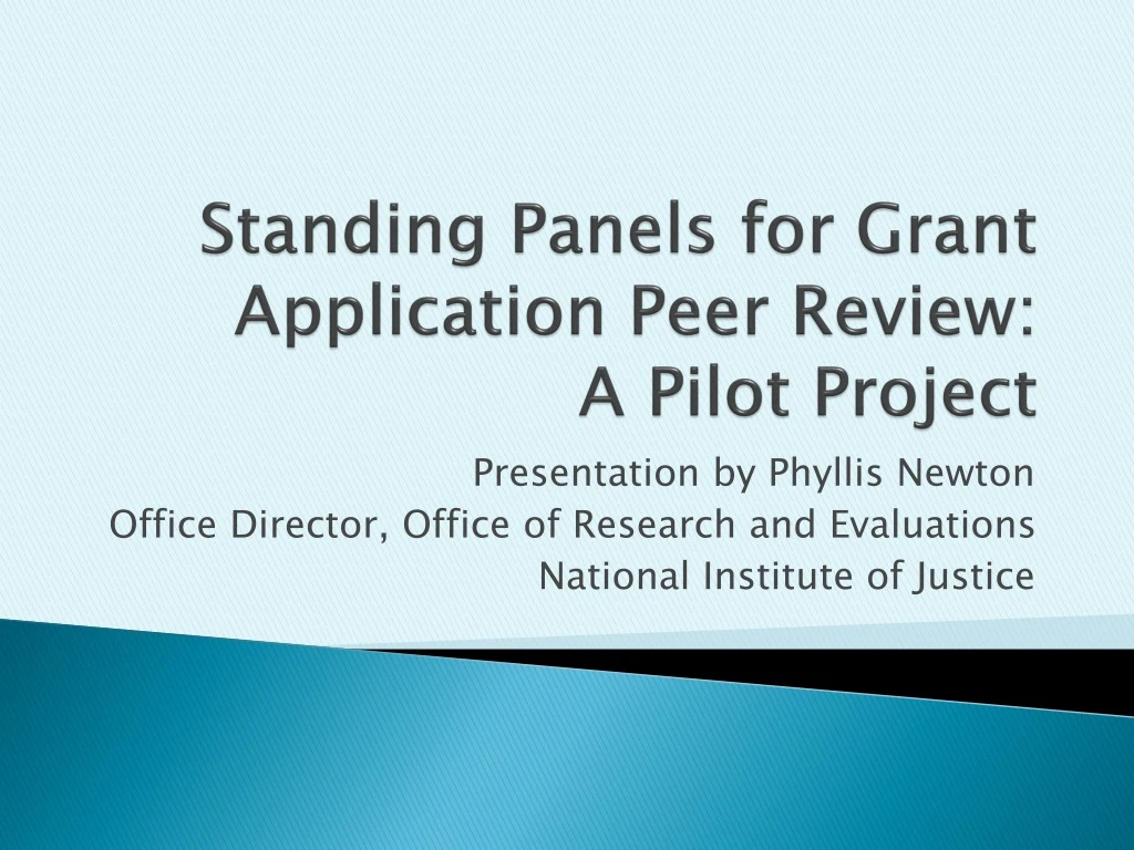 standing panels for grant application peer review a pilot project