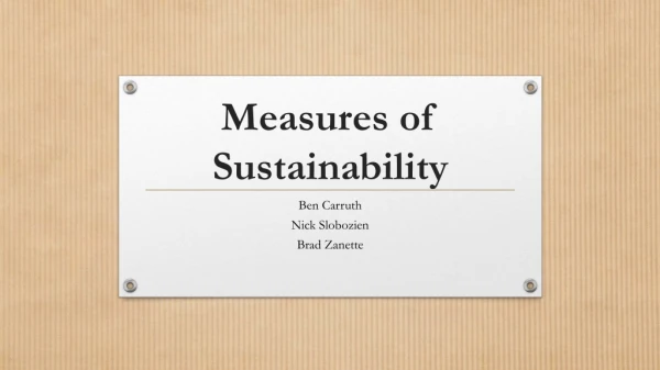 Measures of Sustainability