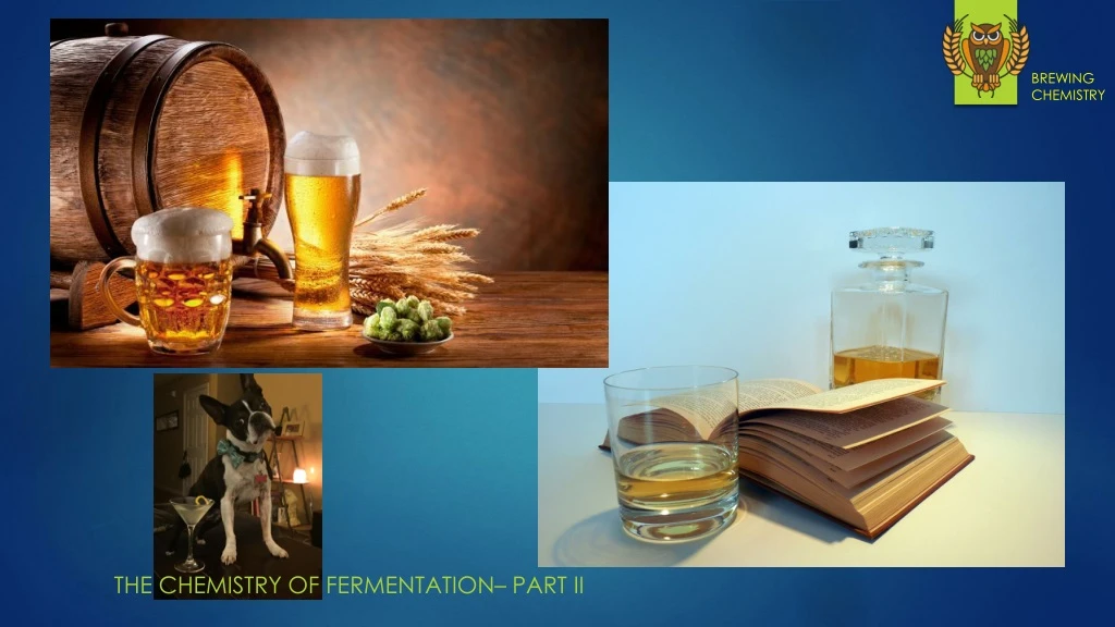 the chemistry of fermentation part ii