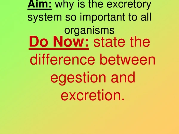 Aim: why is the excretory system so important to all organisms