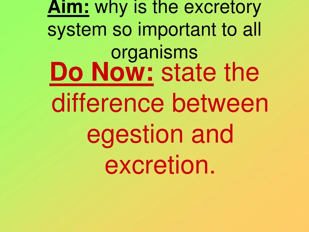 aim why is the excretory system so important to all organisms