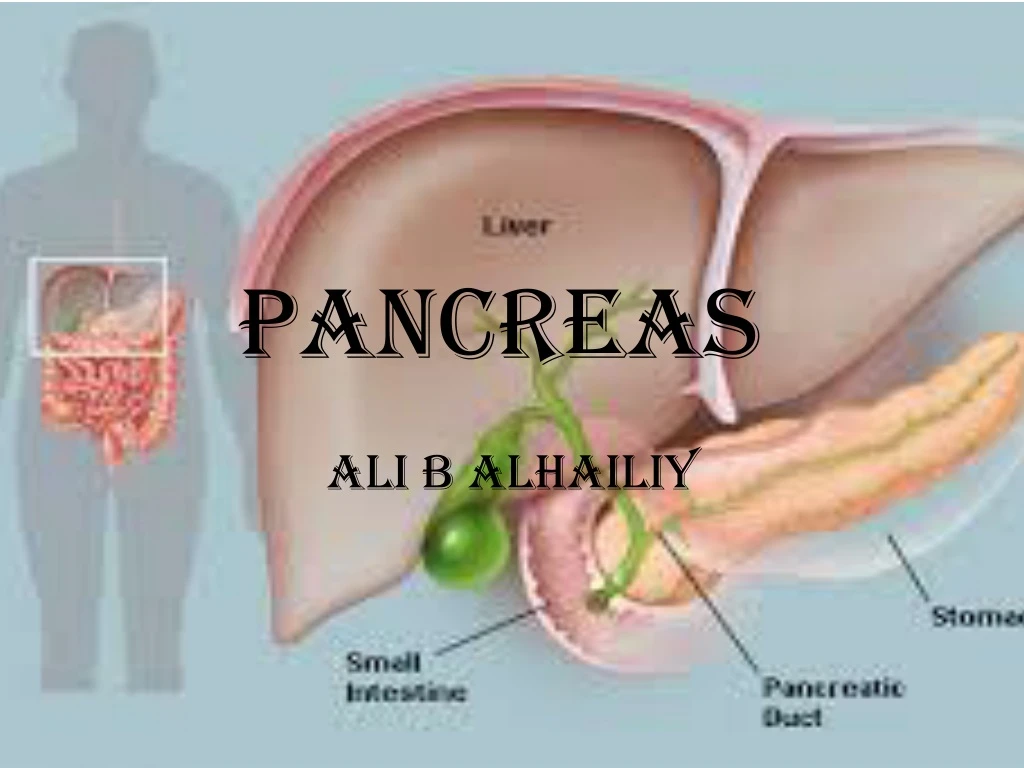 pancreas