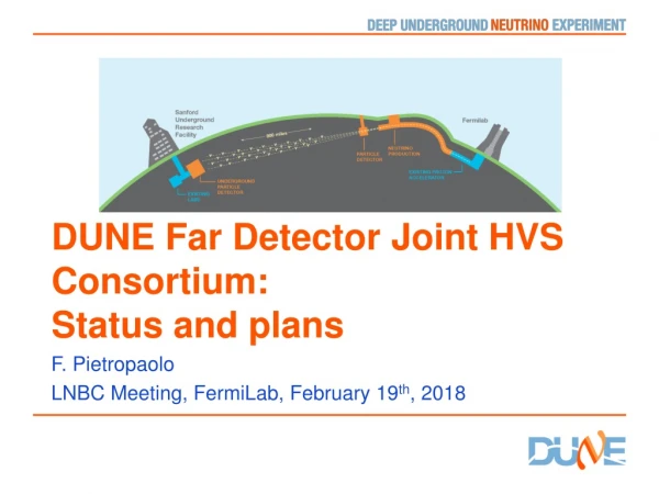 DUNE Far Detector Joint HVS Consortium: Status and plans