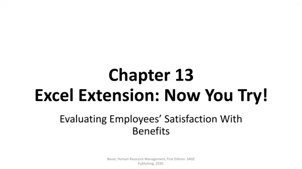 Chapter 13 Excel Extension: Now You Try!