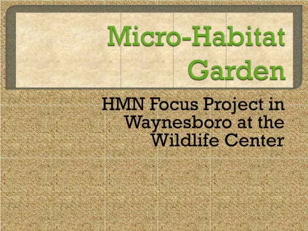 Micro-Habitat Garden