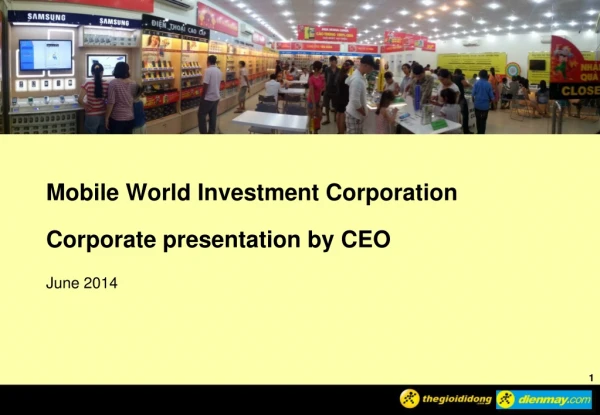 Mobile World Investment Corporation Corporate presentation by CEO June 2014