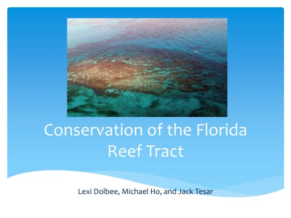 Conservation of the Florida Reef Tract