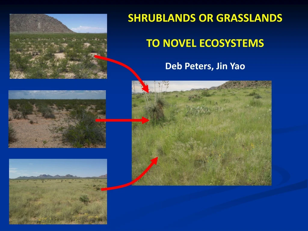 shrublands or grasslands to novel ecosystems