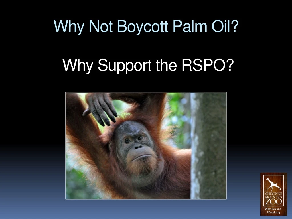 why not boycott palm oil why support the rspo