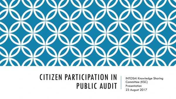 Citizen Participation in Public Audit