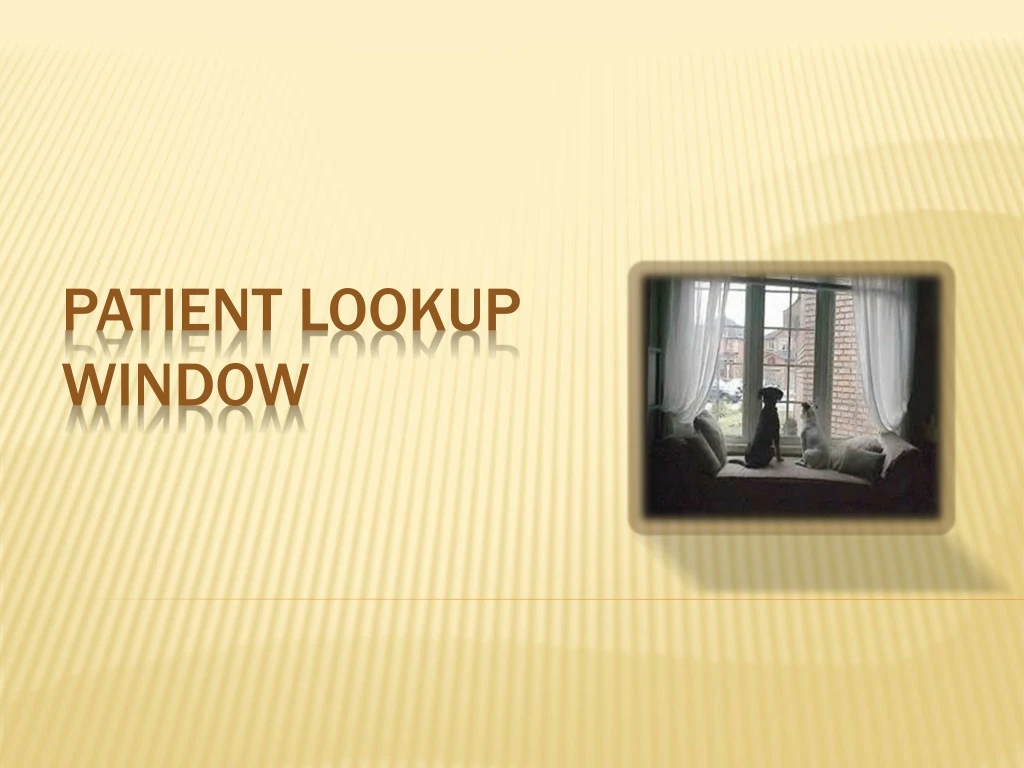 patient lookup window