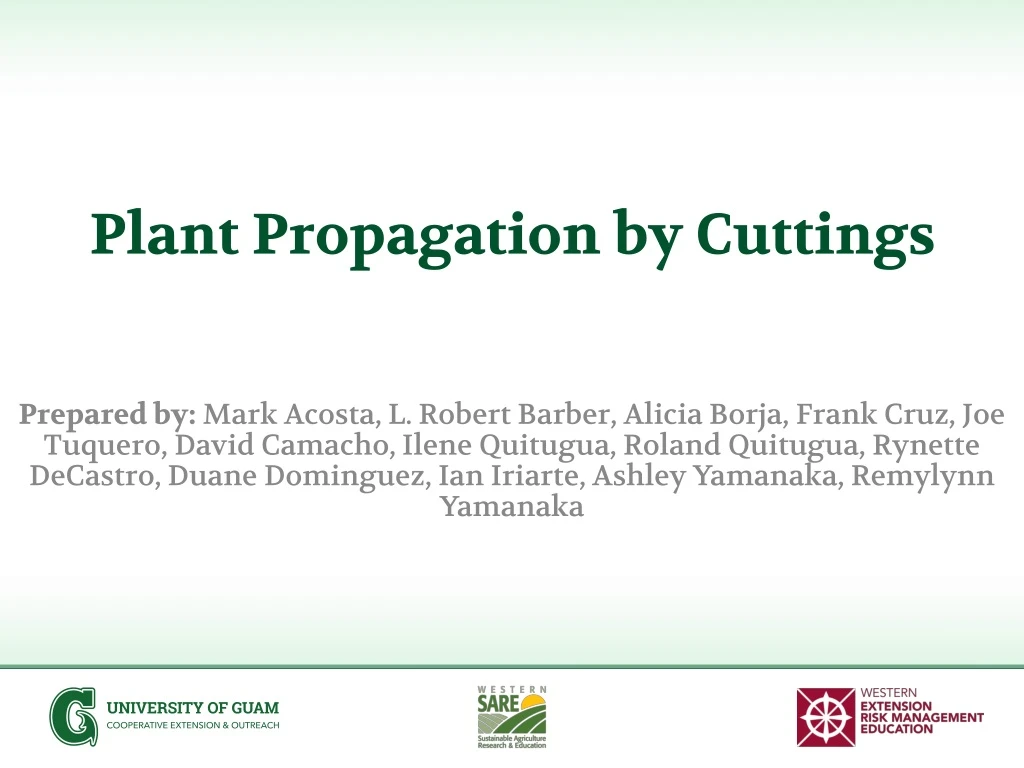 plant propagation by cuttings