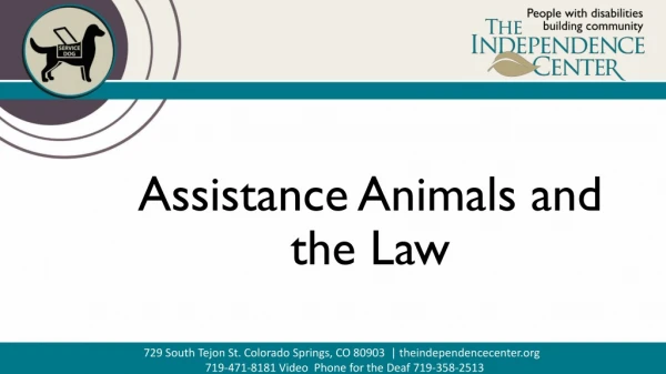 Assistance Animals and the Law