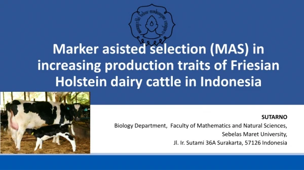 Marker asisted selection (MAS) in increasing production traits of Friesian