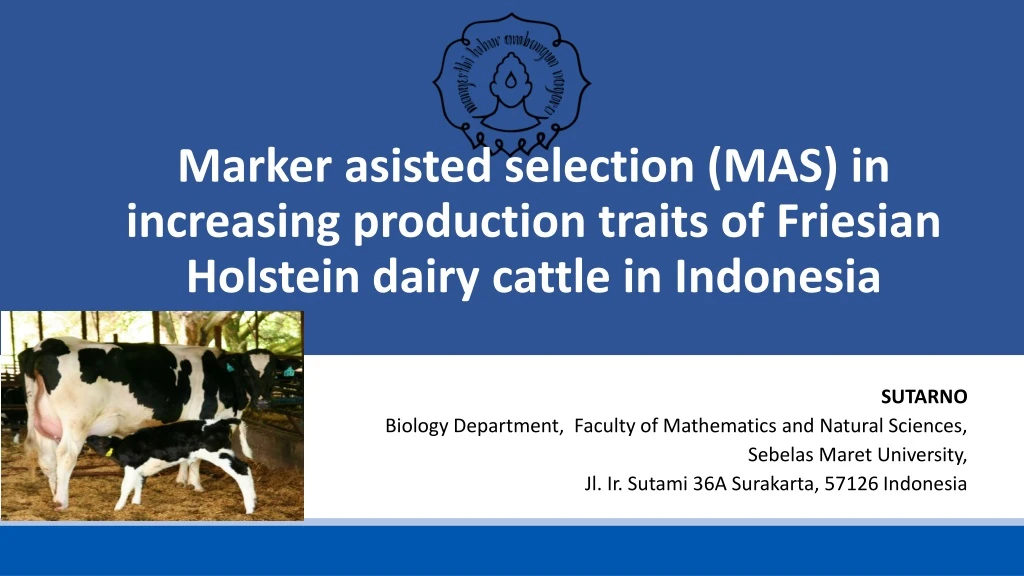 marker asisted selection mas in increasing
