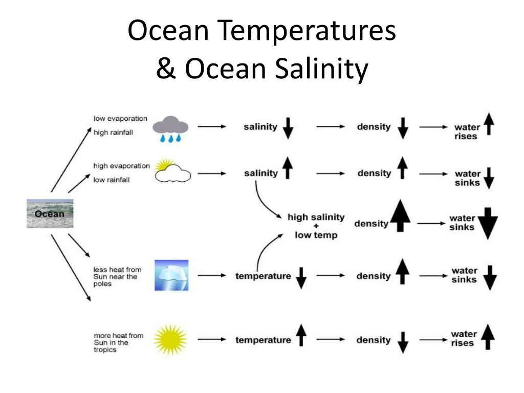 ocean temperatures ocean salinity
