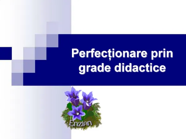 Perfectionare prin grade didactice
