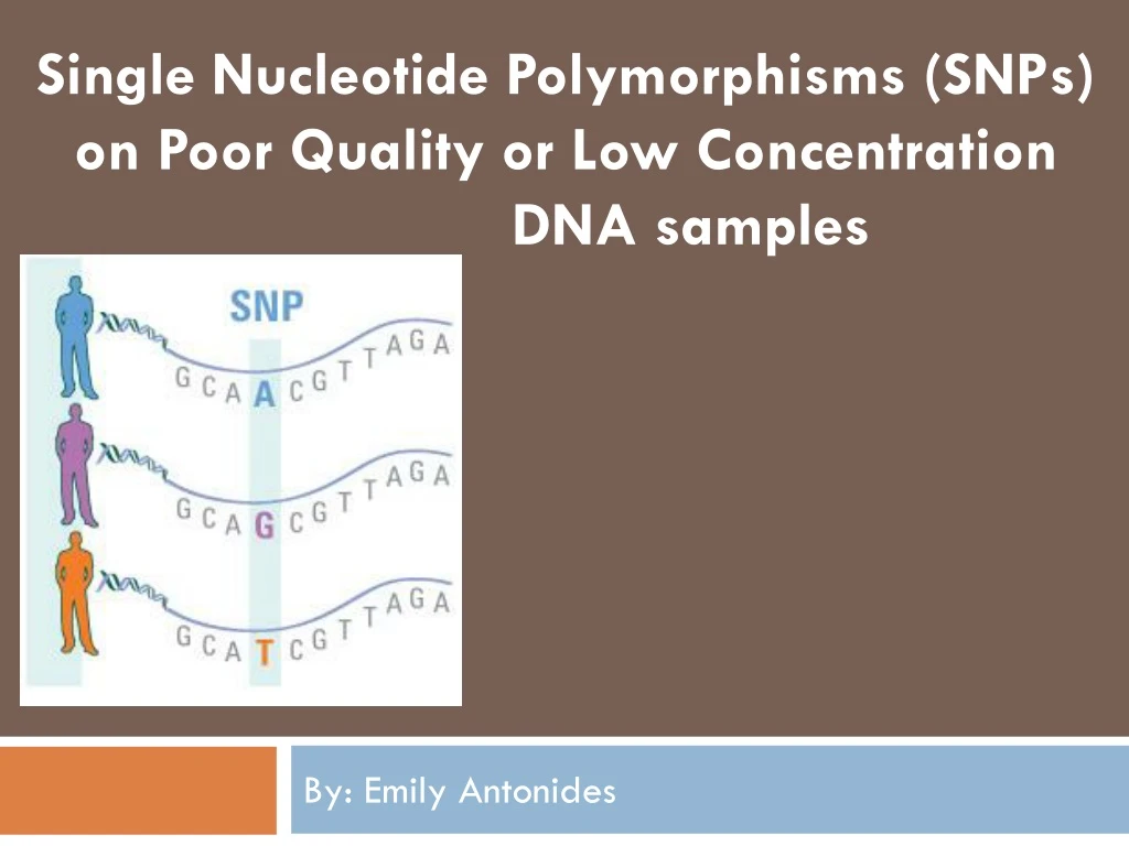 single nucleotide polymorphisms snps on poor quality or low concentration dna samples