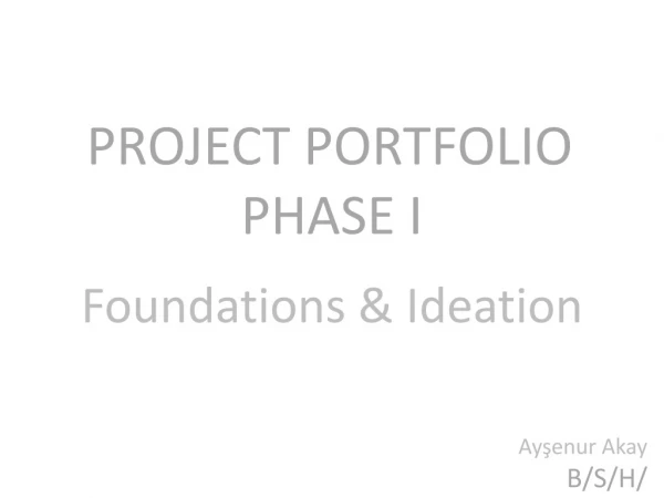 PROJECT PORTFOLIO PHASE I