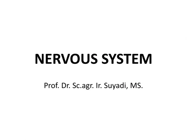 NERVOUS SYSTEM