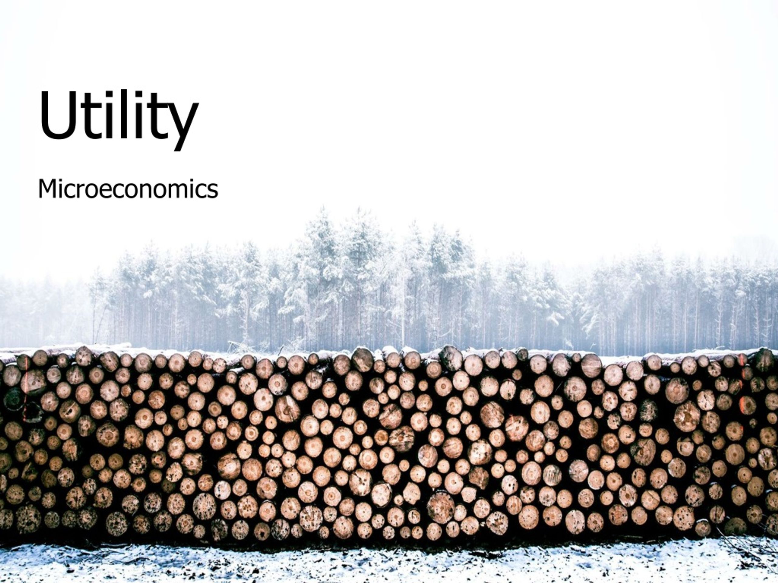 Maximizing Utility in Microeconomics: Principles of Marketing - slide 1