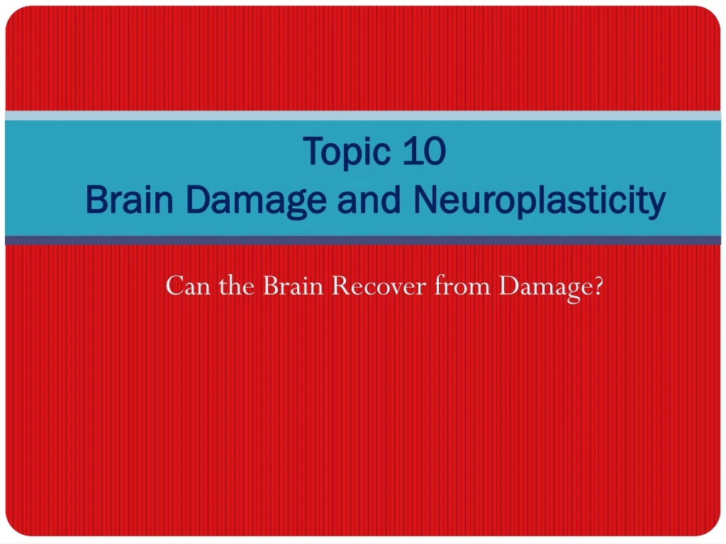 topic 10 brain damage and neuroplasticity