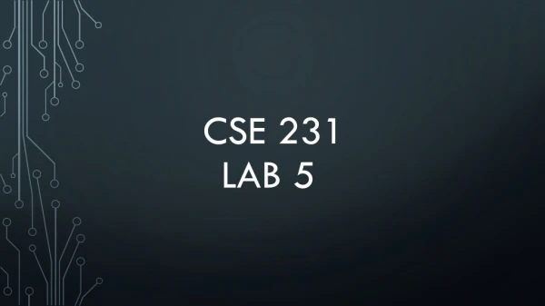 CSE 231 Lab 5