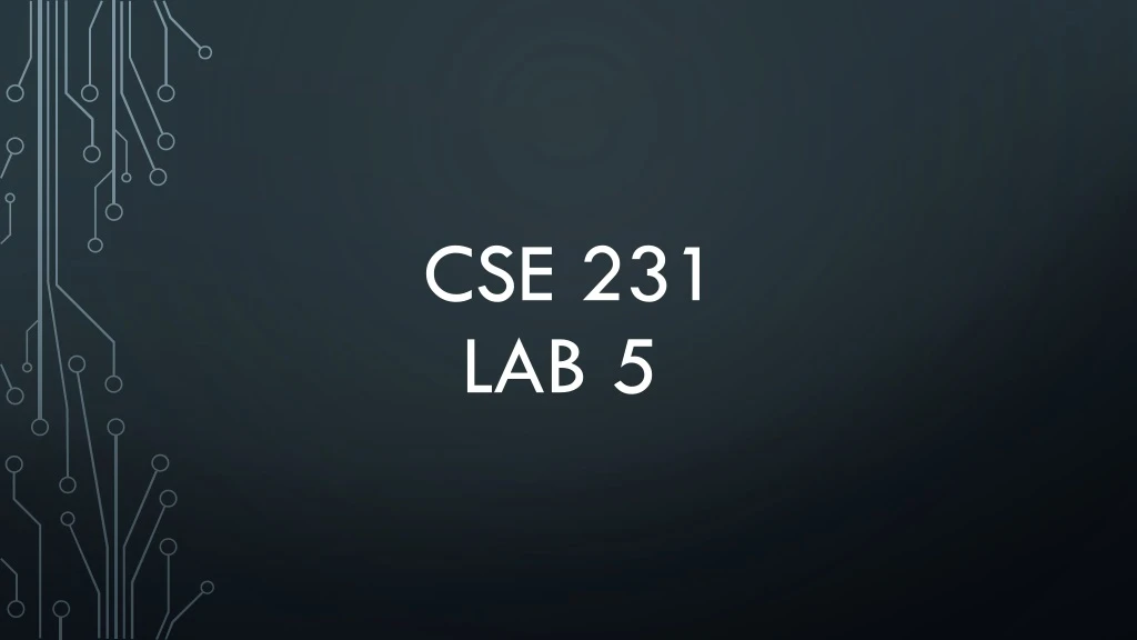 cse 231 lab 5