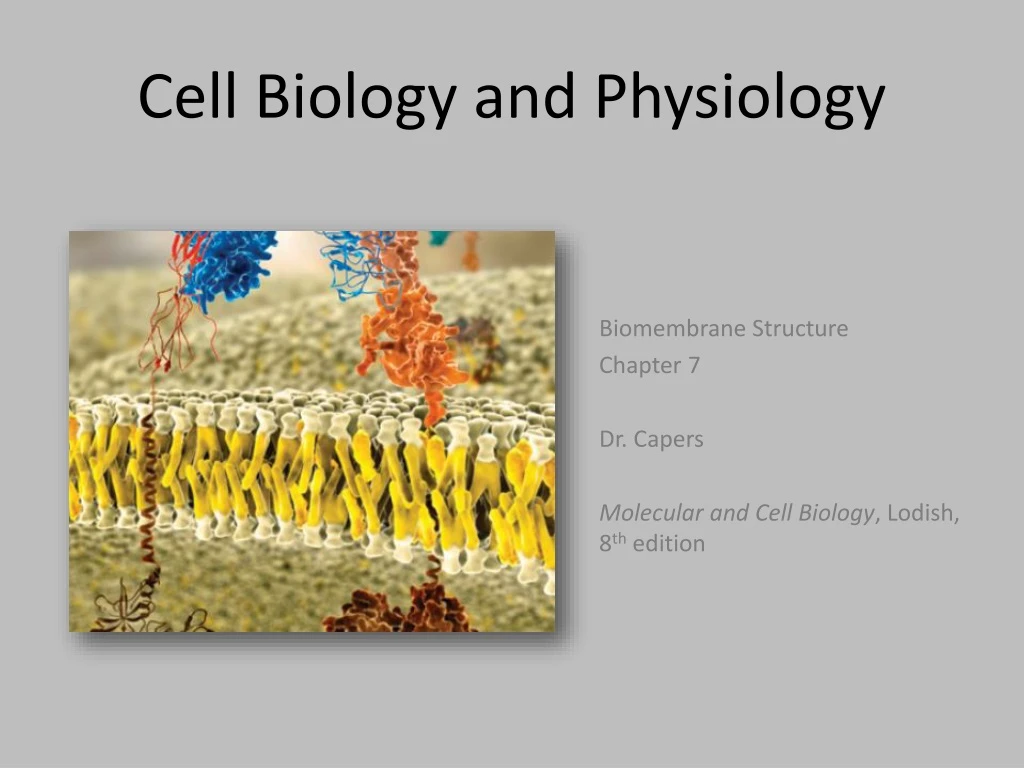 cell biology and physiology