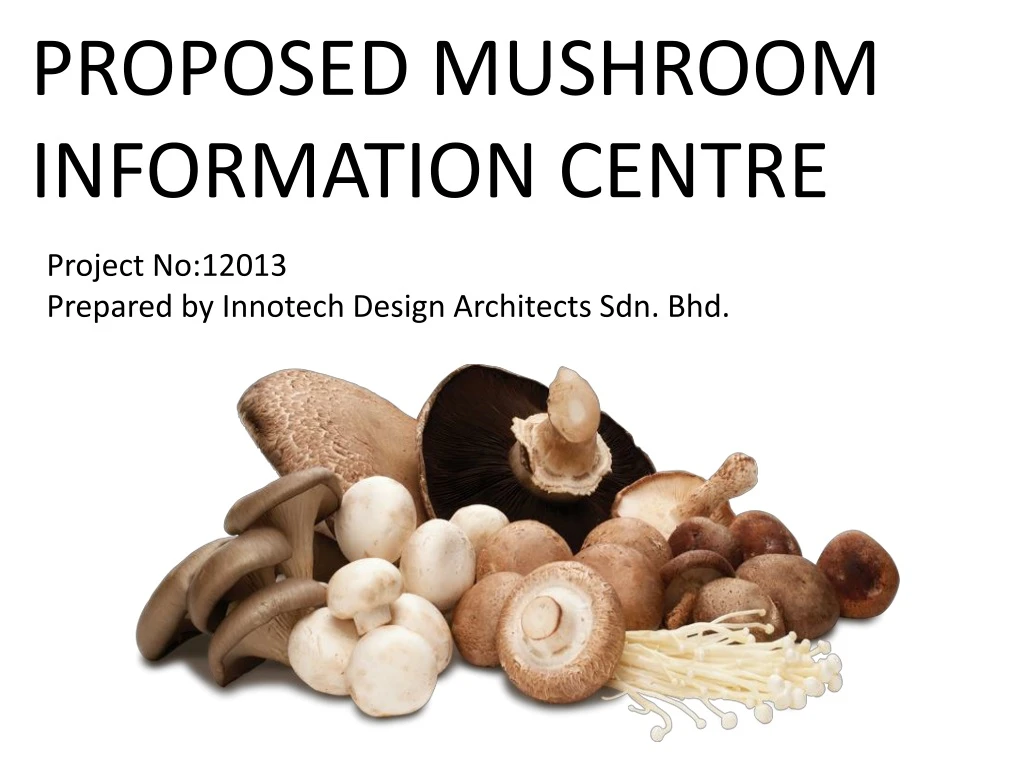 proposed mushroom information centre
