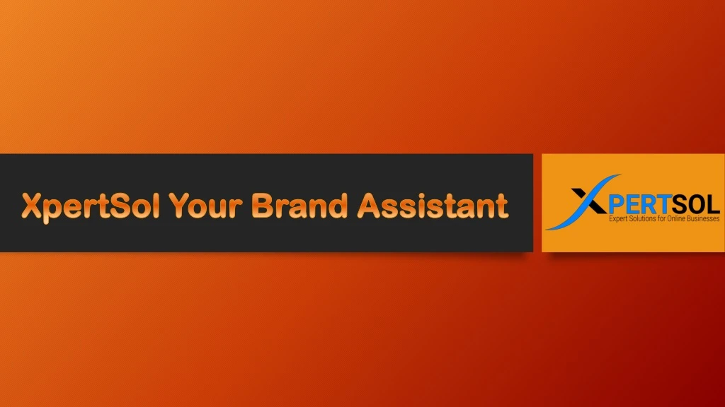 xpertsol your brand assistant