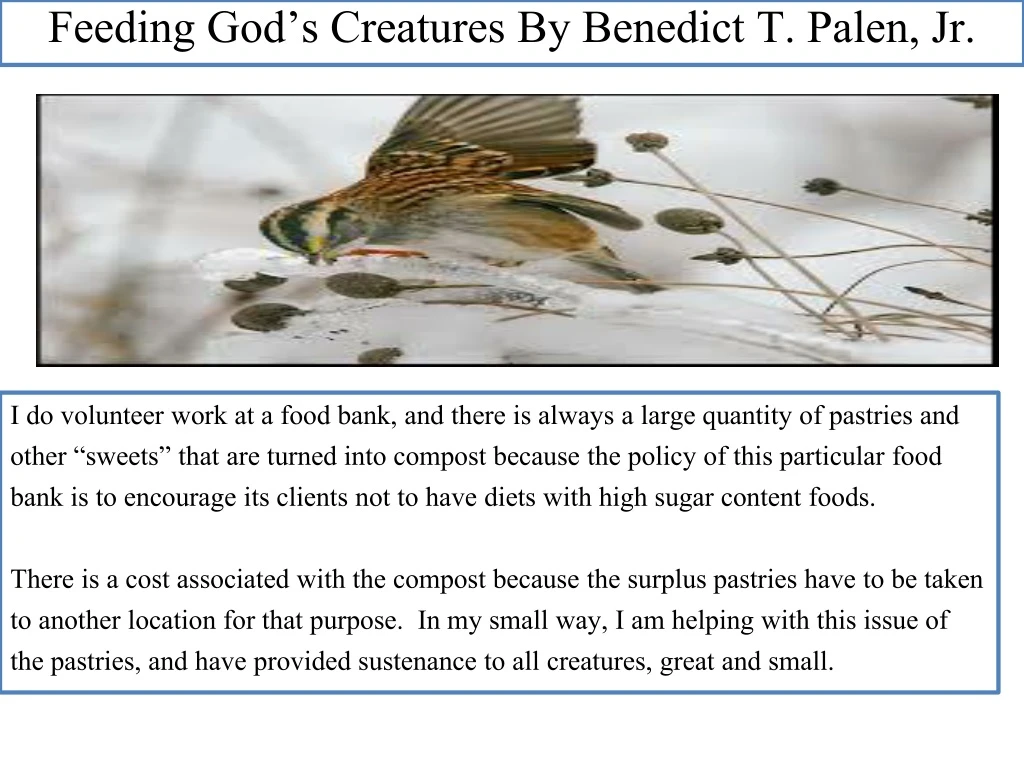 feeding god s creatures by benedict t palen jr