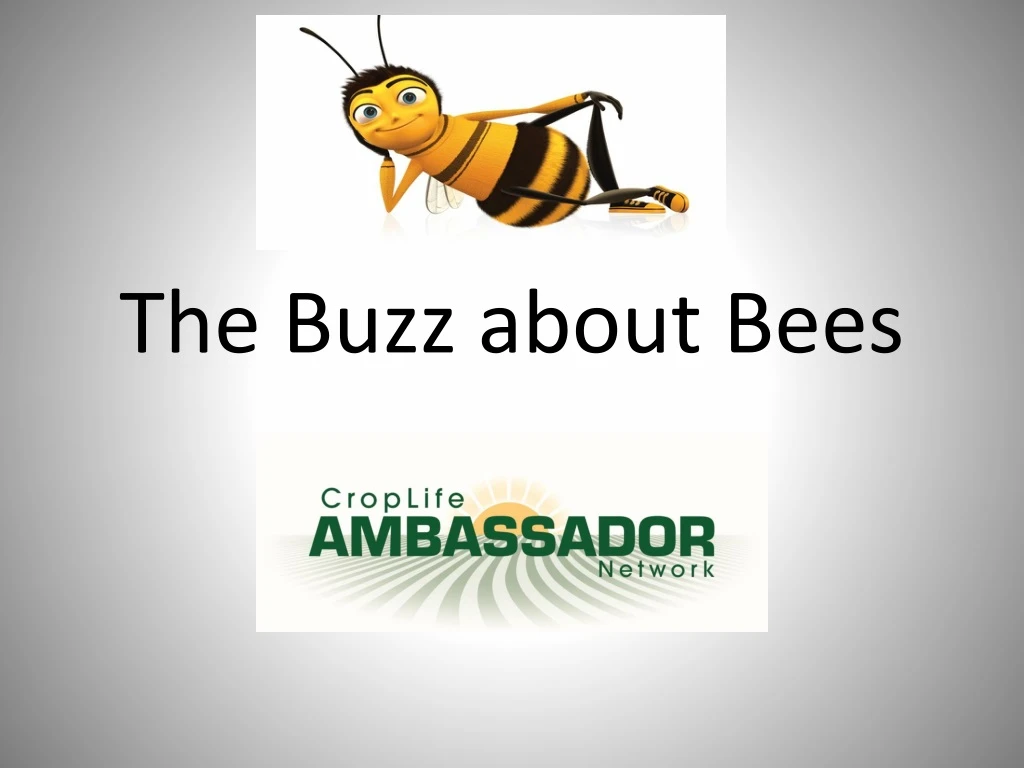 the buzz about bees